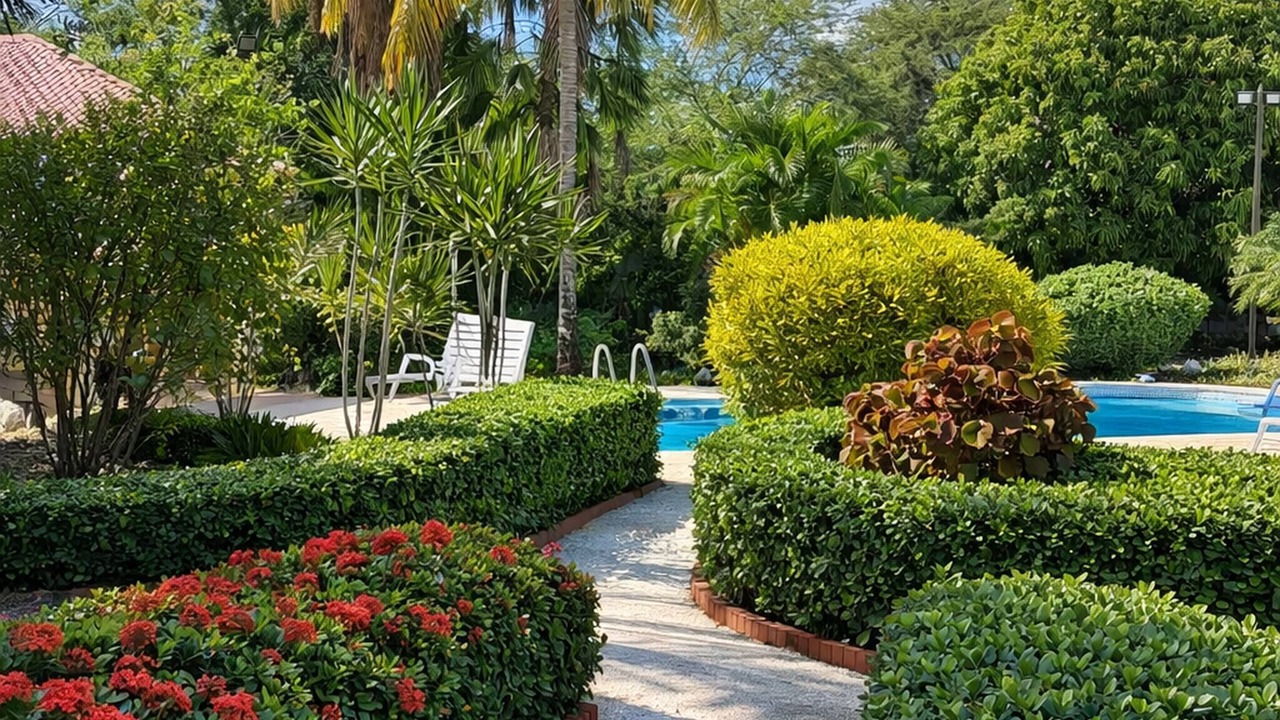 Photo of Outdoor in Bani