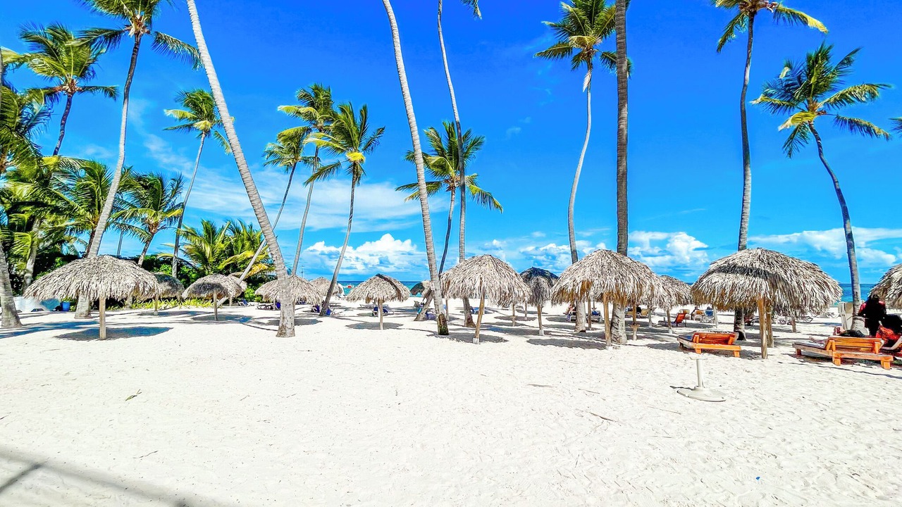 Photo of Others in Bavaro