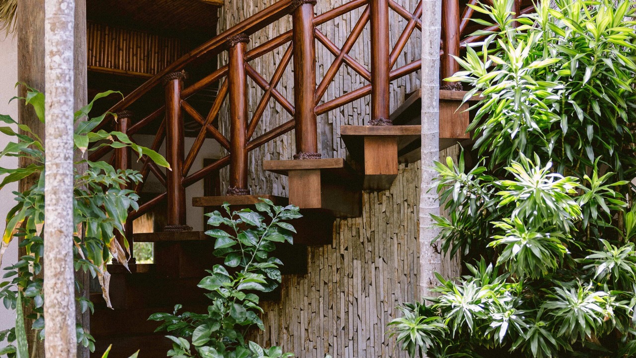 Photo of Outdoor in Punta Cana