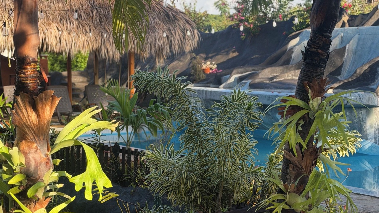 Photo of Outdoor in La Isabela