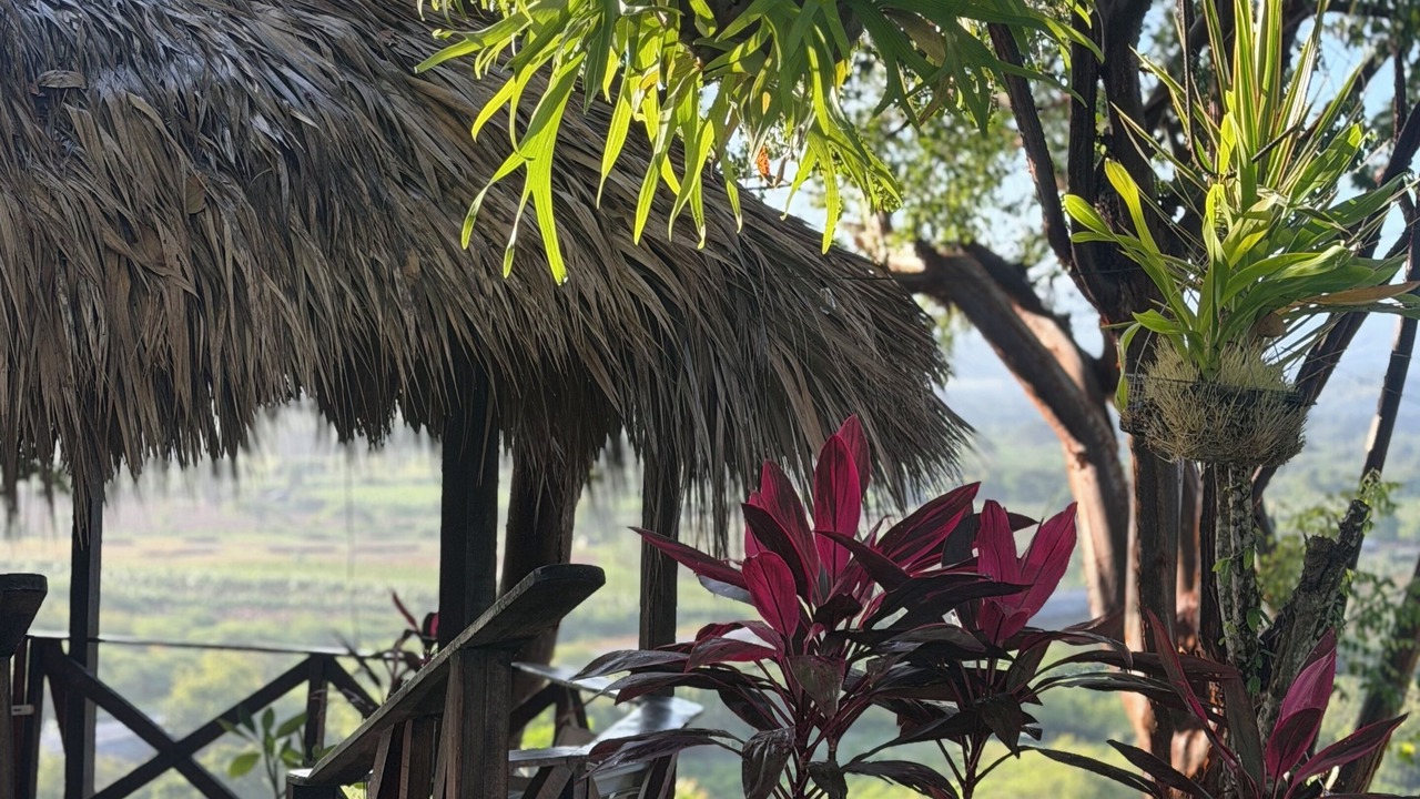 Photo of Bedroom in La Isabela