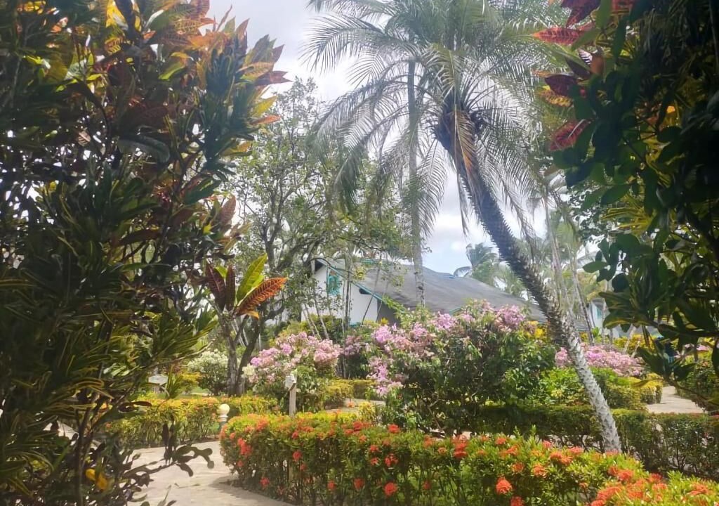Photo of Outdoor in La Iglesia