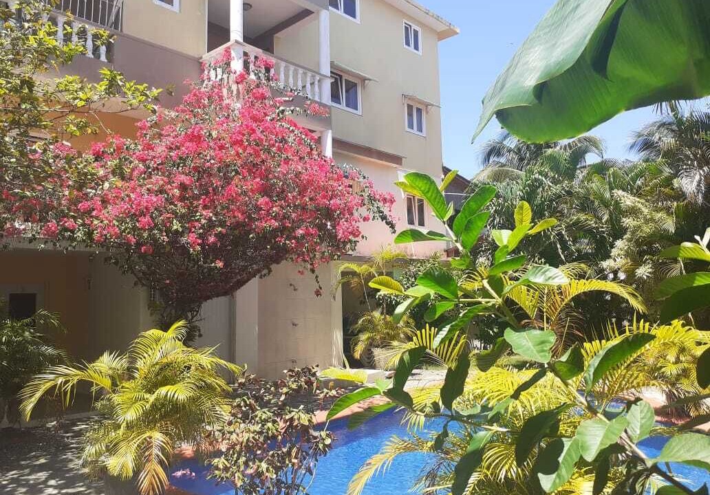 Photo of Outdoor in El Batey