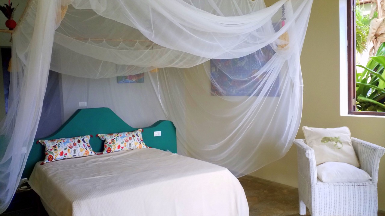 Photo of Others in Las Galeras