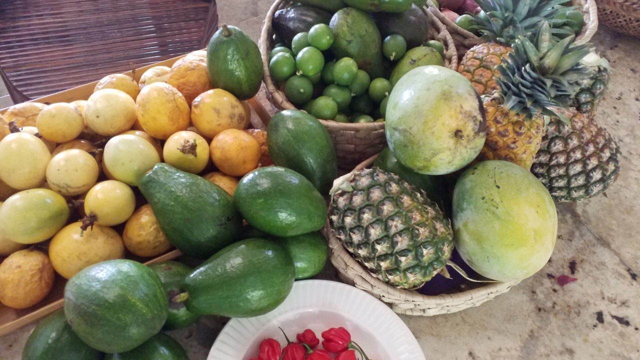 Photo of Others in Las Galeras
