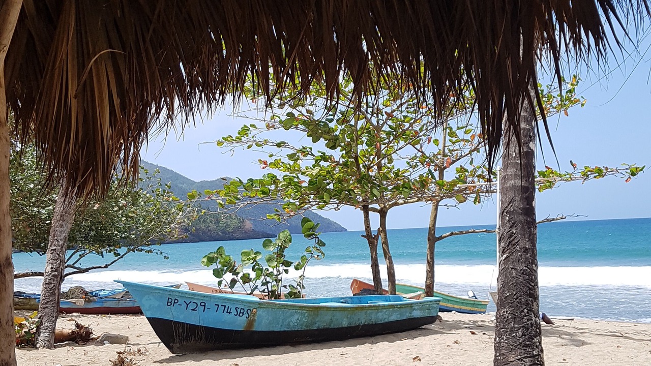 Photo of Others in Las Galeras