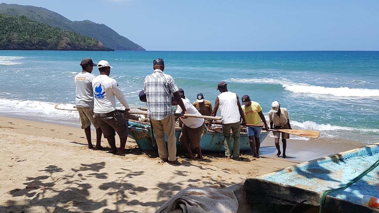 Photo of Others in Las Galeras