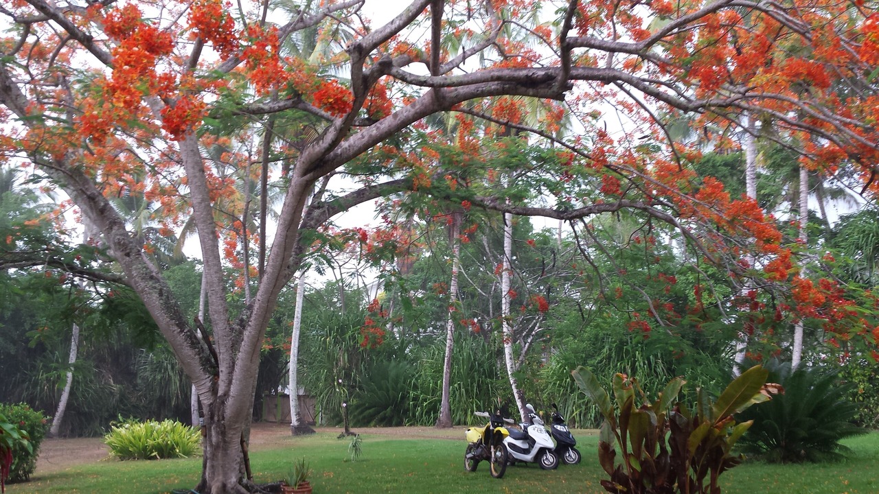 Photo of Outdoor in La Iglesia