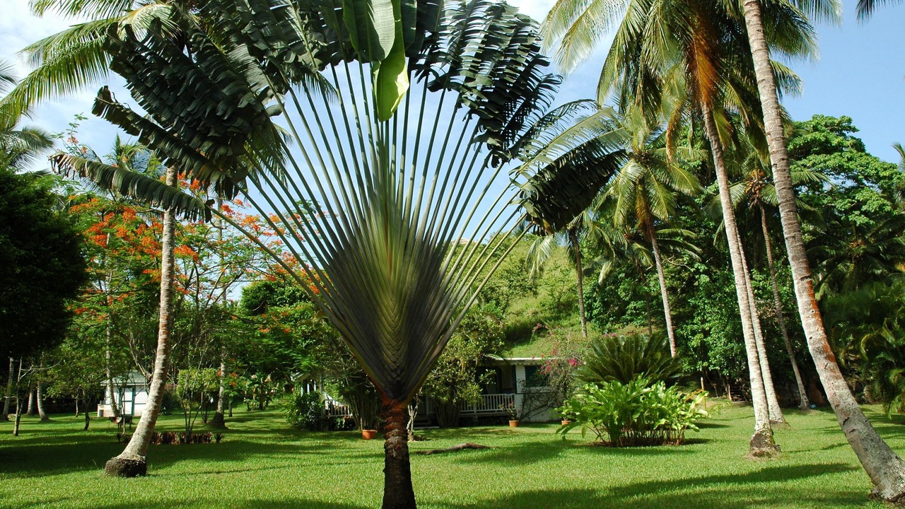 Photo of Outdoor in La Iglesia
