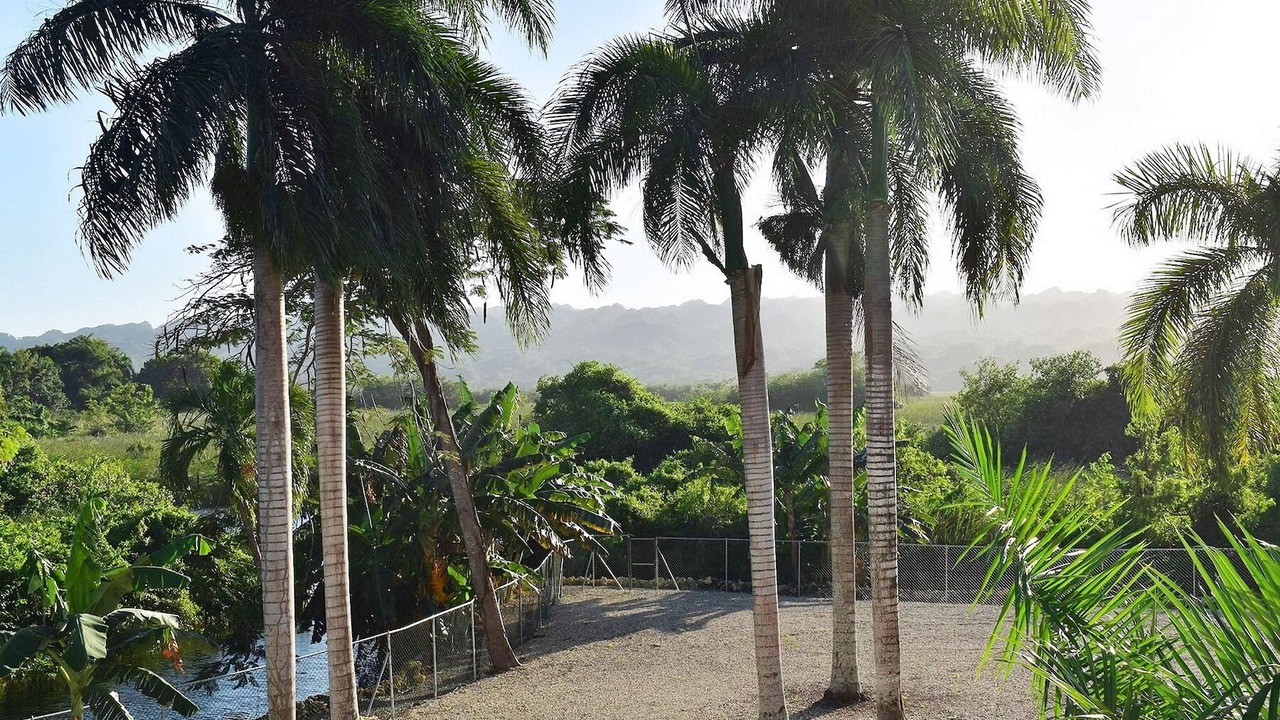 Photo of Outdoor in Cabarete