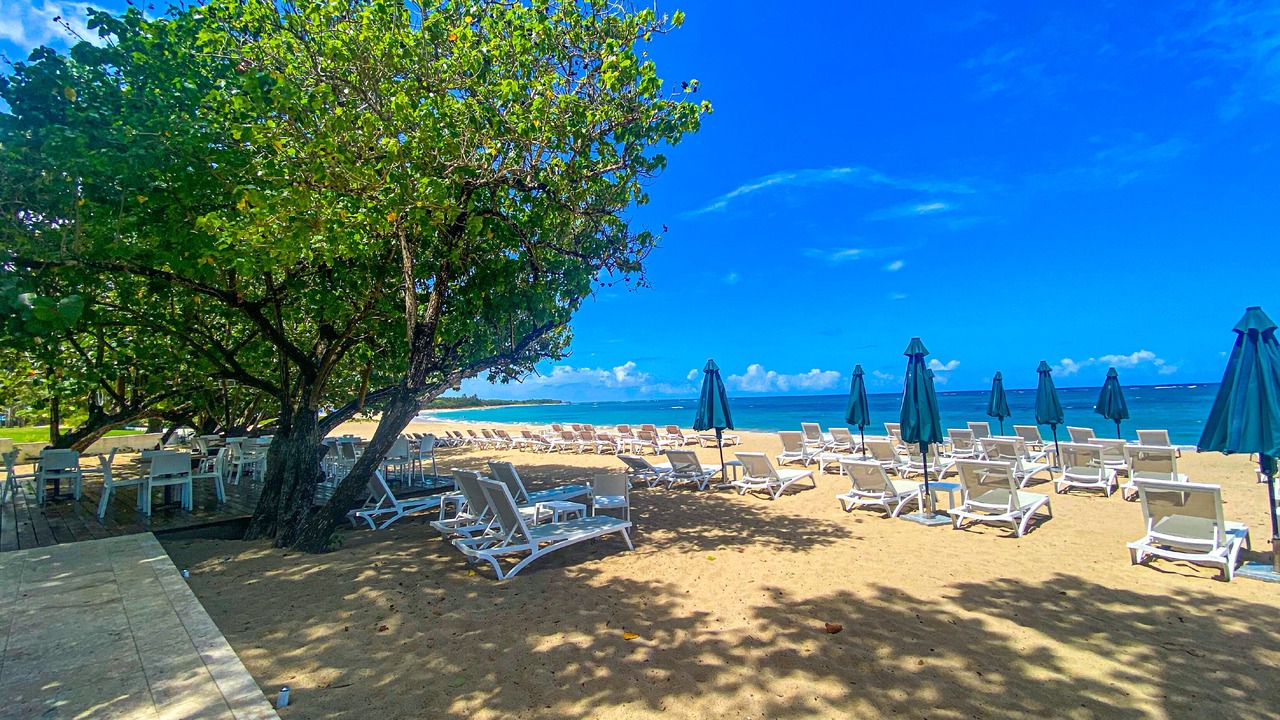 Photo of Others in Puerto Plata