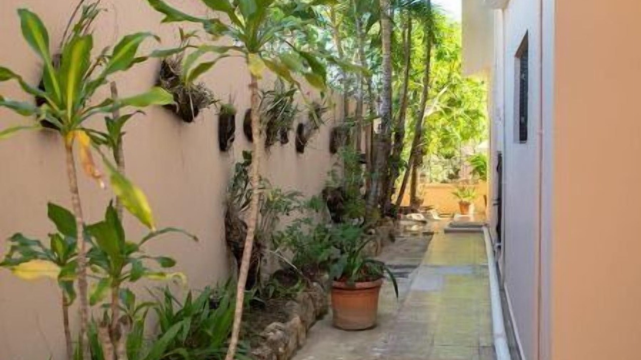 Photo of Outdoor in Barrio Las Yaguitas