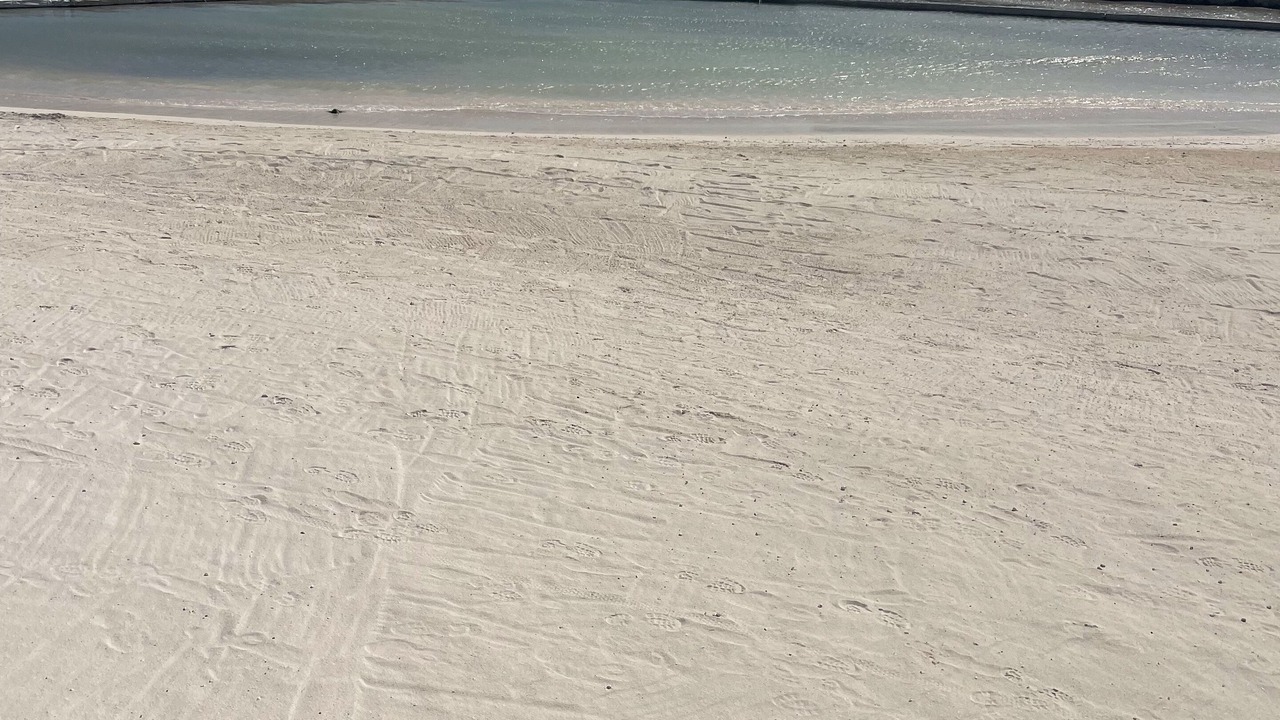 Photo of Others in Punta Cana