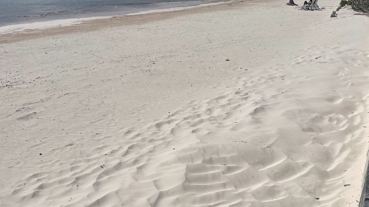 Photo of Others in Punta Cana