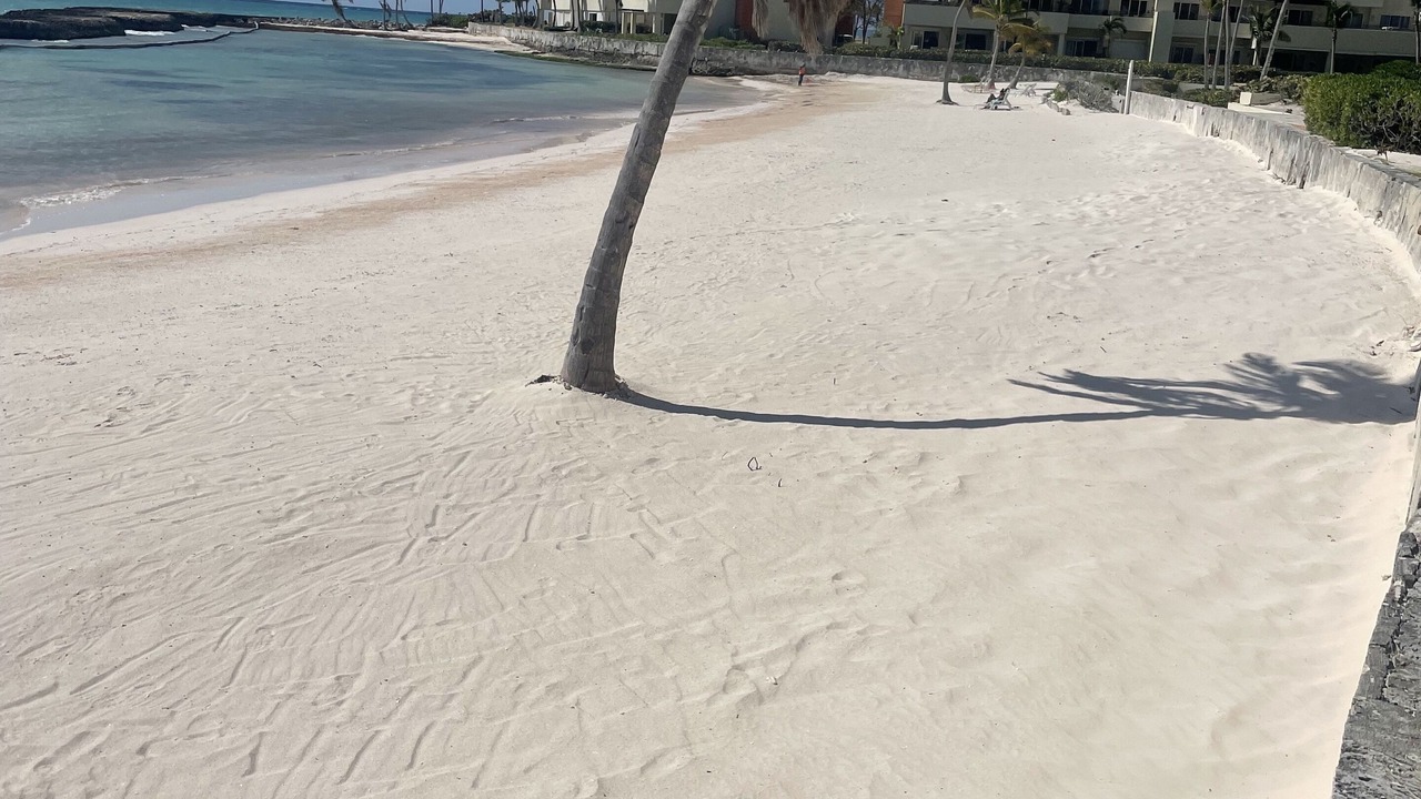 Photo of Others in Punta Cana Village