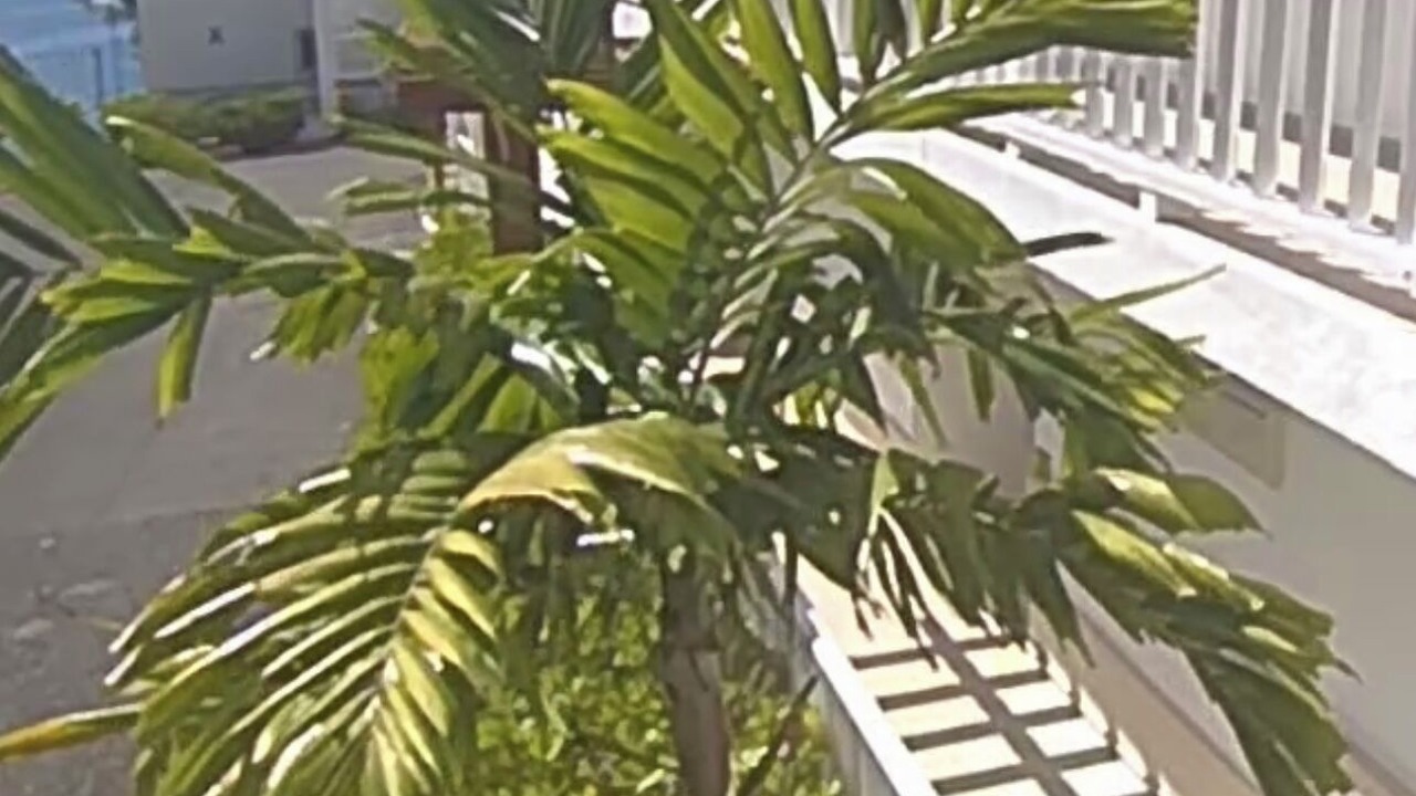 Photo of Outdoor in Samana