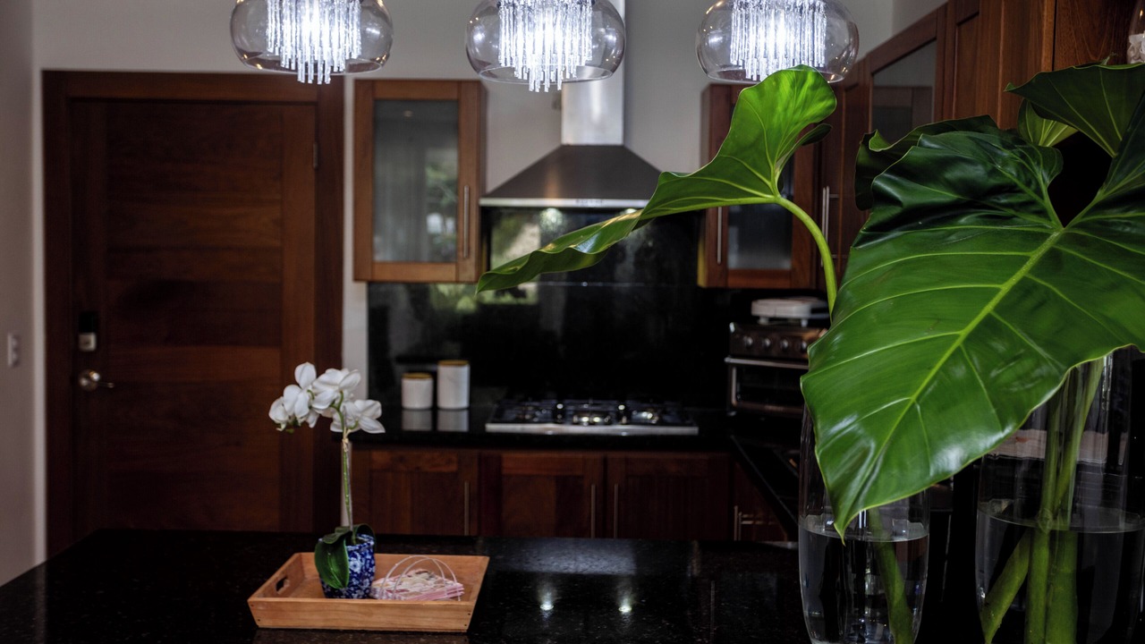Photo of Kitchen in Puerto Plata