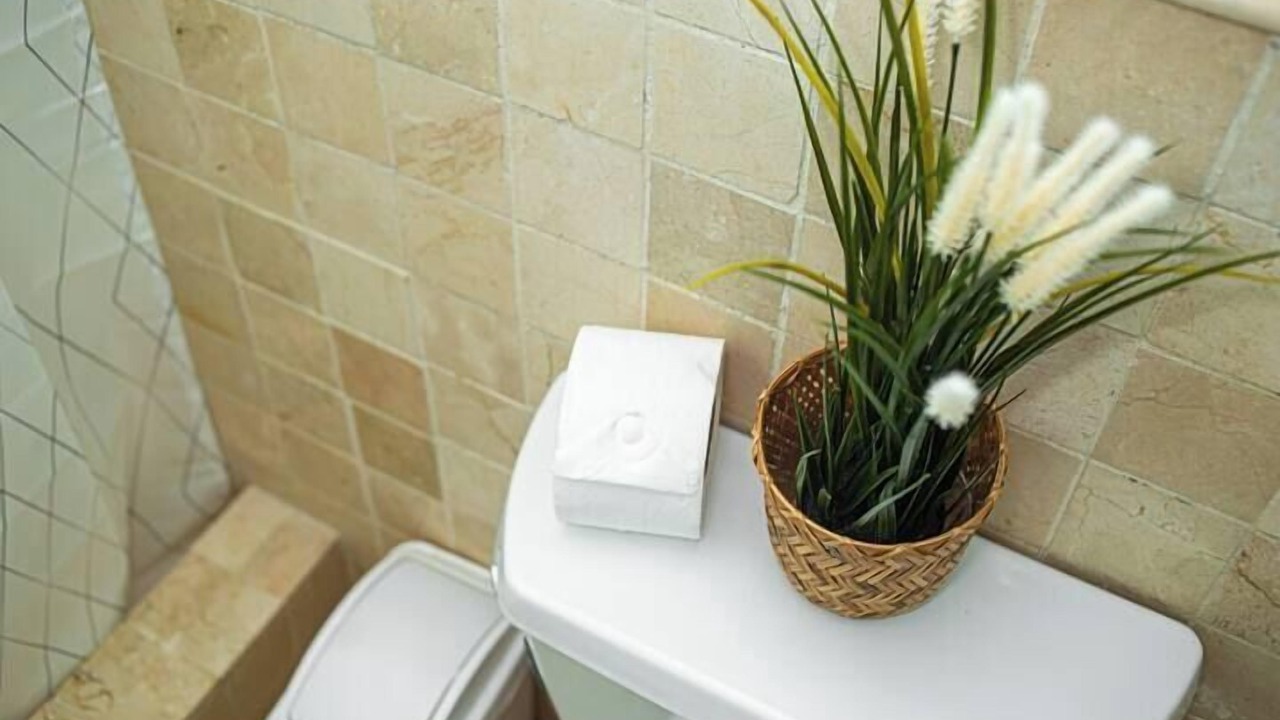 Photo of Bathroom in Cabarete