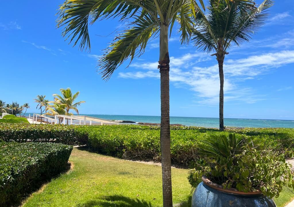 Photo of Outdoor in Punta Cana