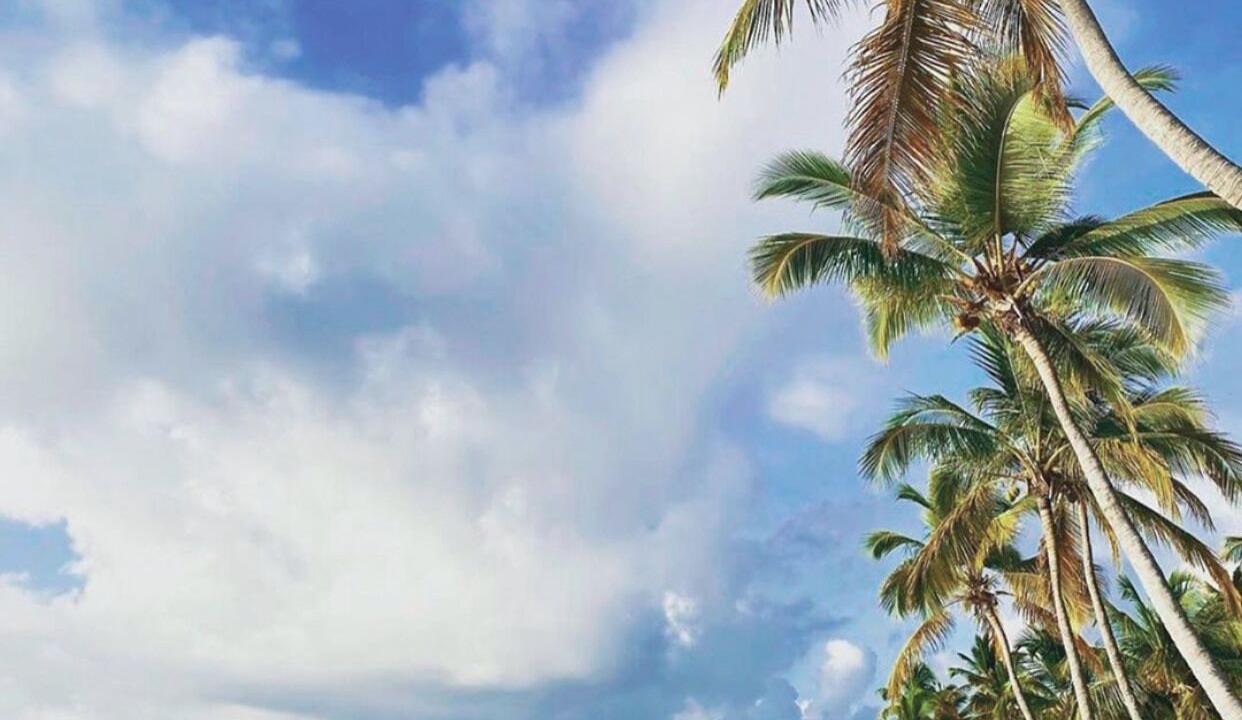 Photo of Others in Punta Cana