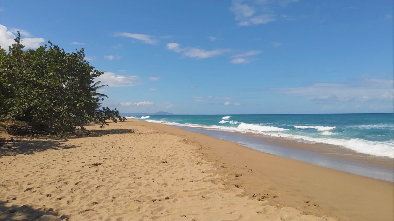 Photo of Others in Cabarete
