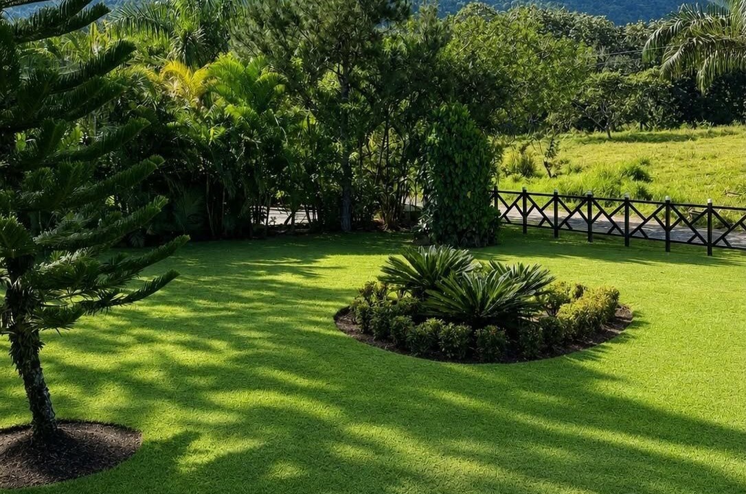 Photo of Outdoor in Paso Bajito
