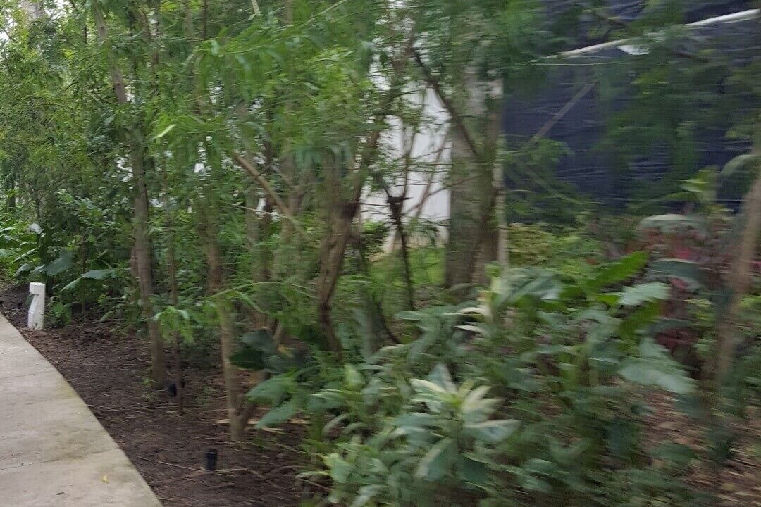 Photo of Outdoor in Bavaro
