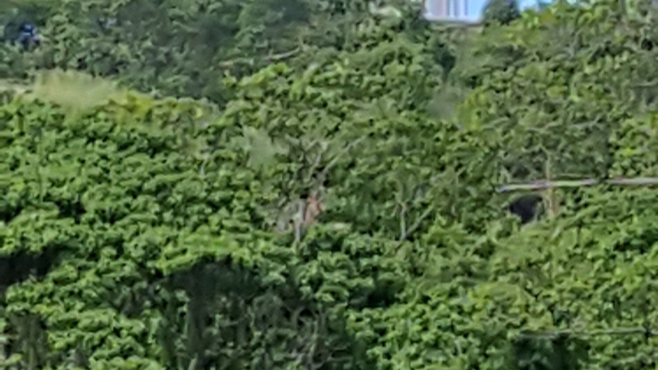Photo of Outdoor in Las Terrenas