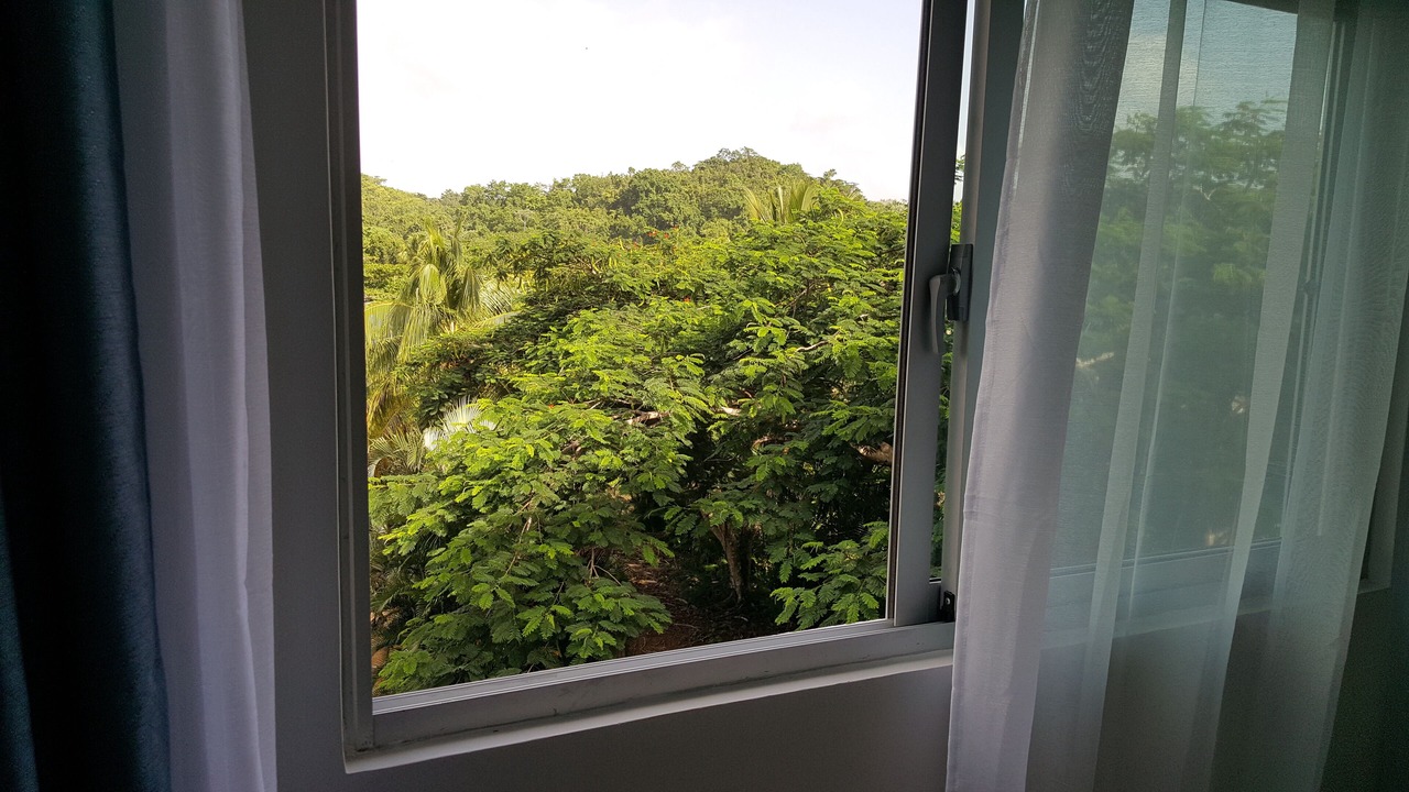 Photo of Others in Las Terrenas