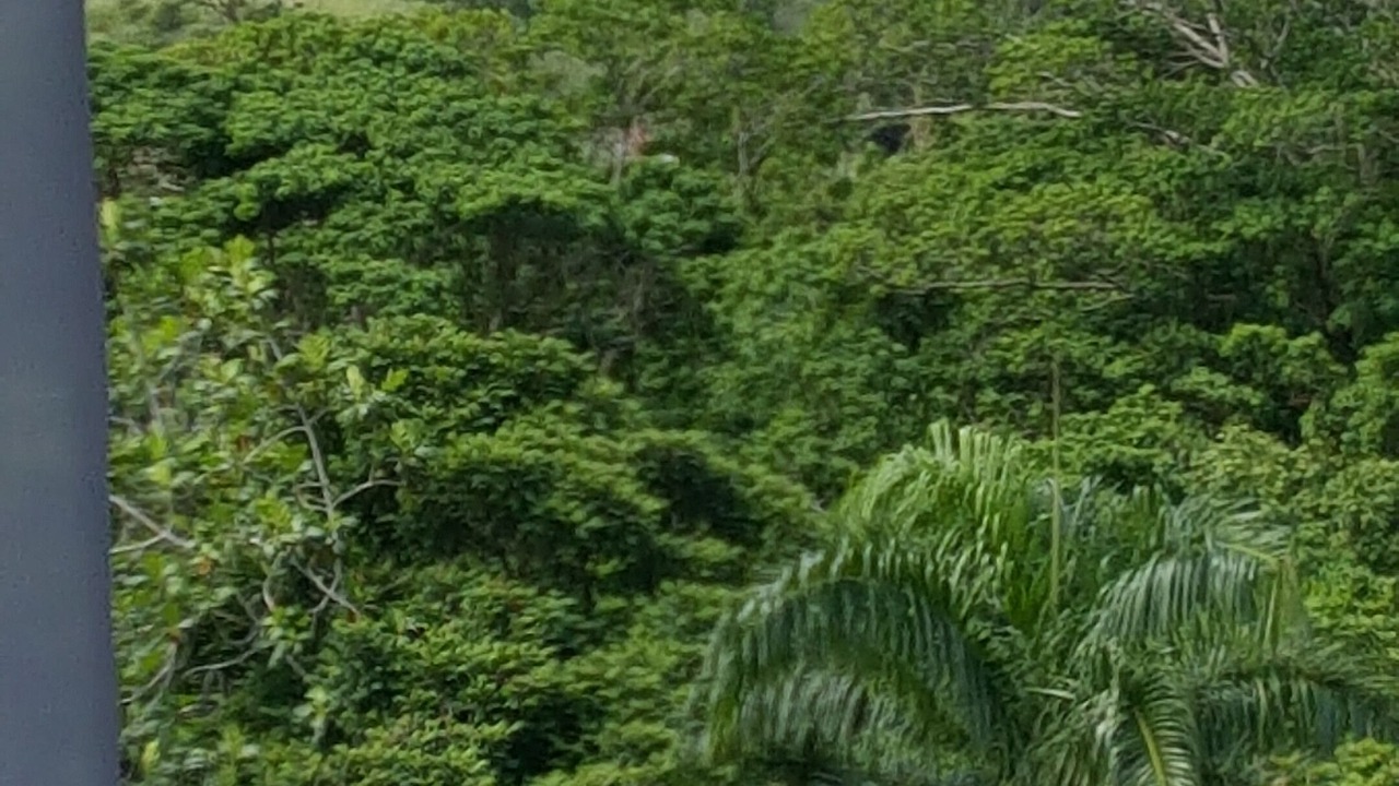 Photo of Outdoor in Las Terrenas