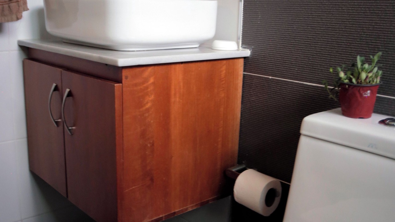 Photo of Bathroom in Llanos de Gurabo I