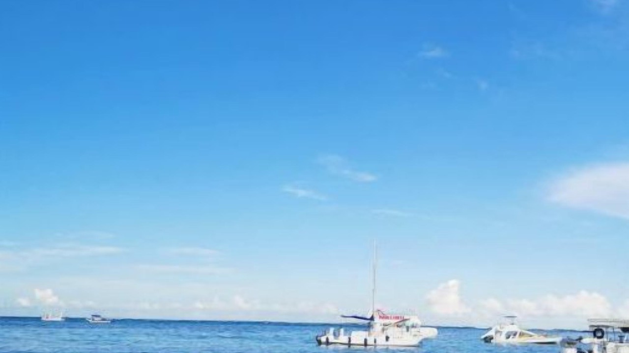 Photo of Others in Playa Bibijagua