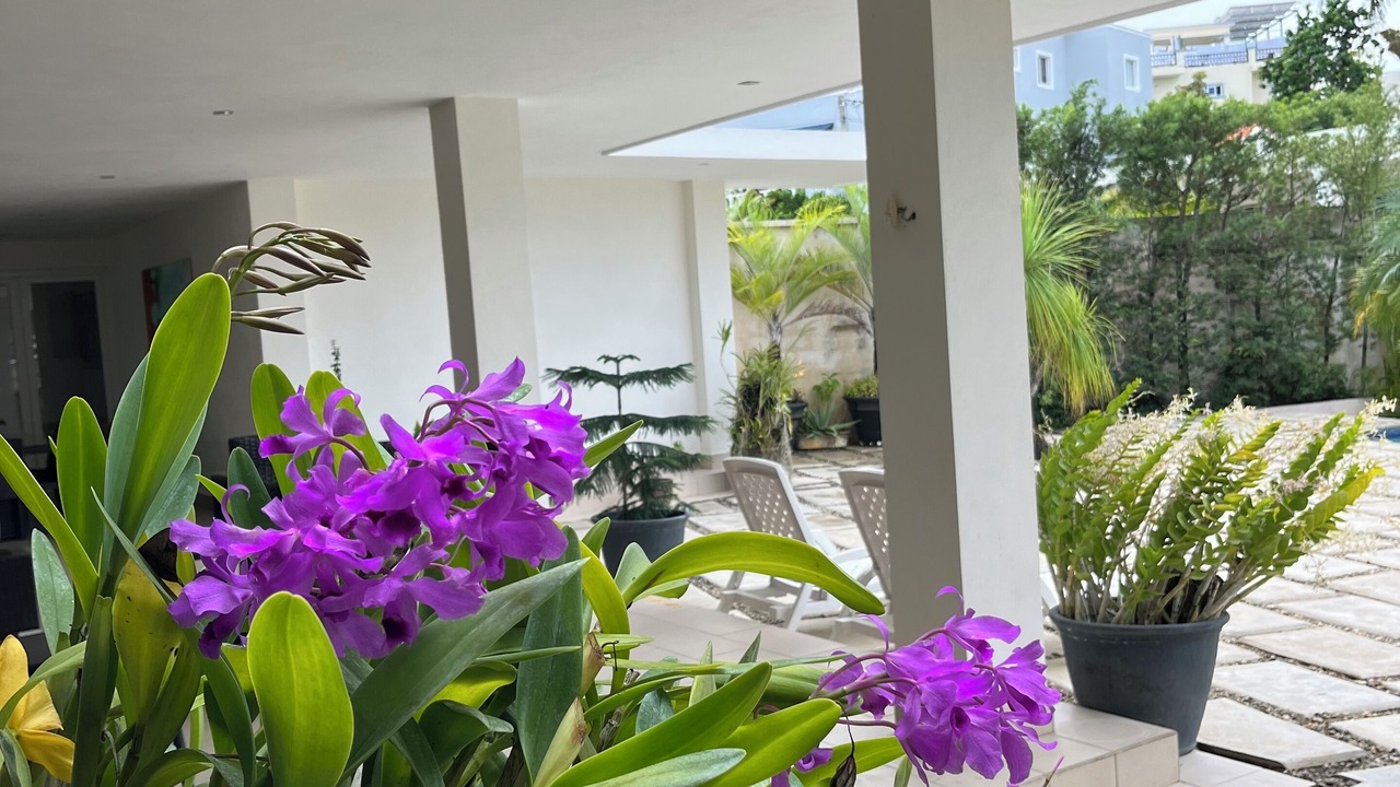 Photo of Outdoor in Residencial El Doral