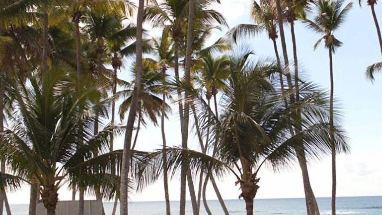 Photo of Others in Villas Del Mar