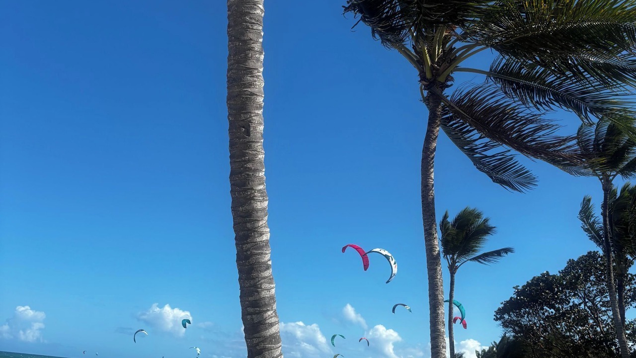 Photo of Others in Cabarete