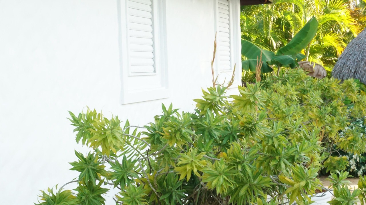 Photo of Outdoor in Los Mangos