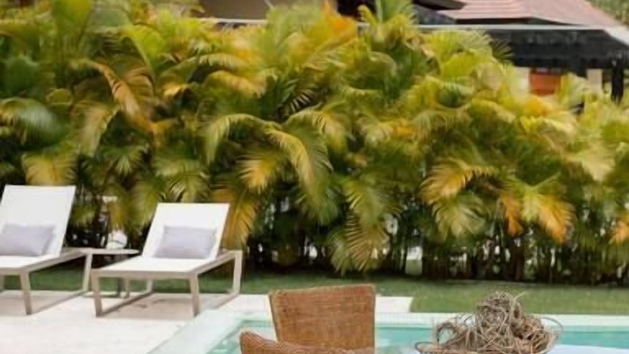 Photo of Others in Punta Cana