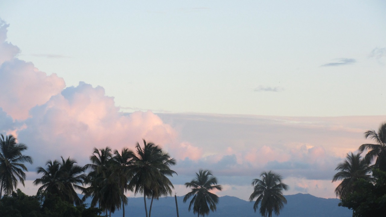 Photo of Others in Puerto Bahia