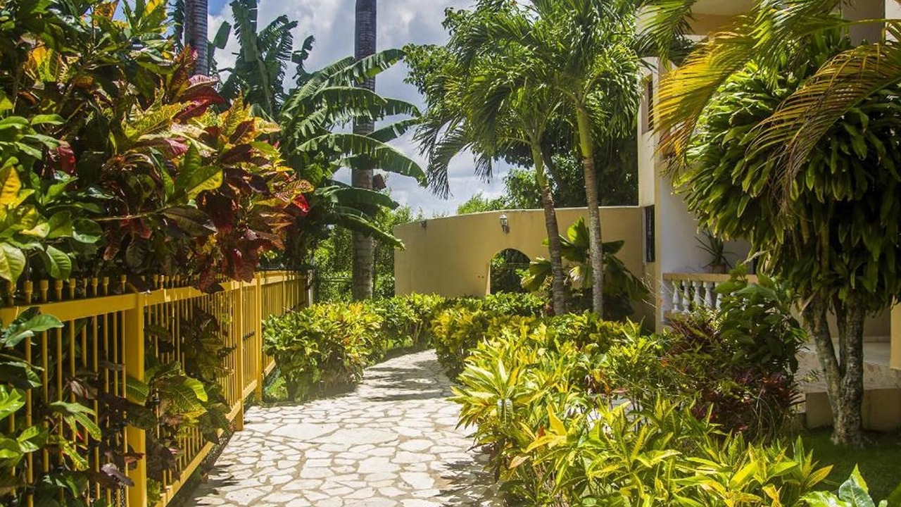 Photo of Outdoor in Cabarete
