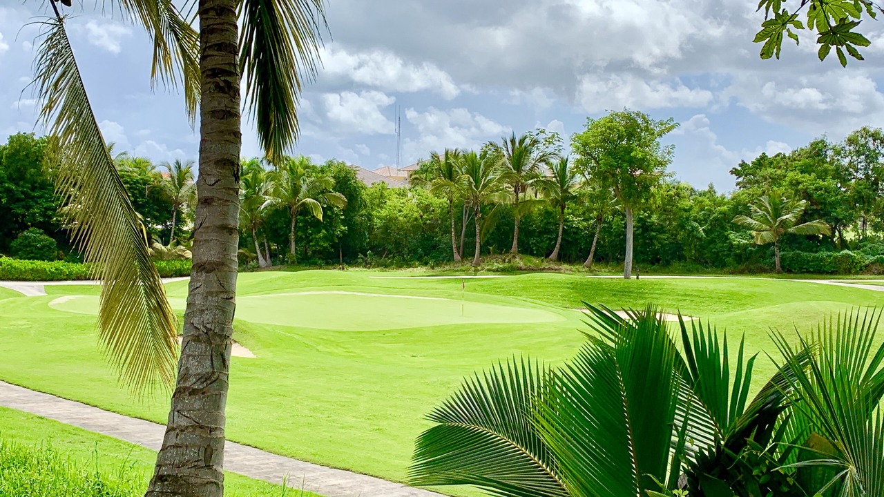 Photo of Others in Bavaro