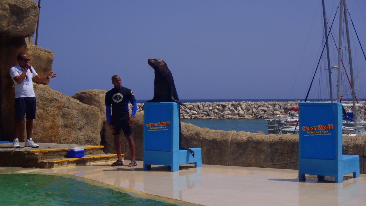 Photo of Others in Cofresi