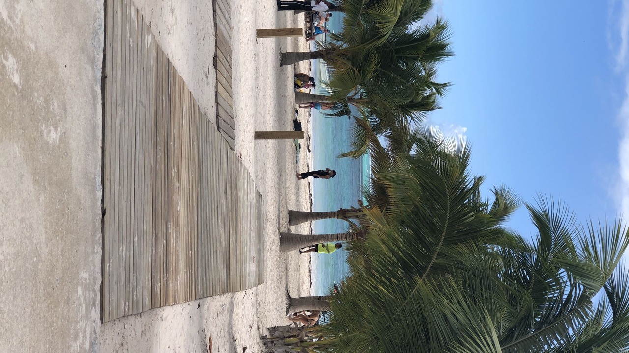 Photo of Outdoor in Playa Bibijagua