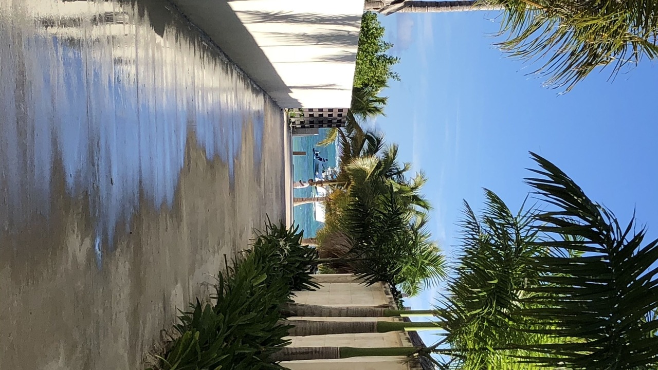 Photo of Outdoor in Playa Bibijagua