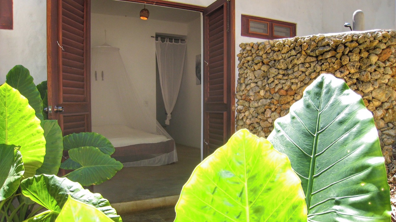 Photo of Outdoor in Las Galeras