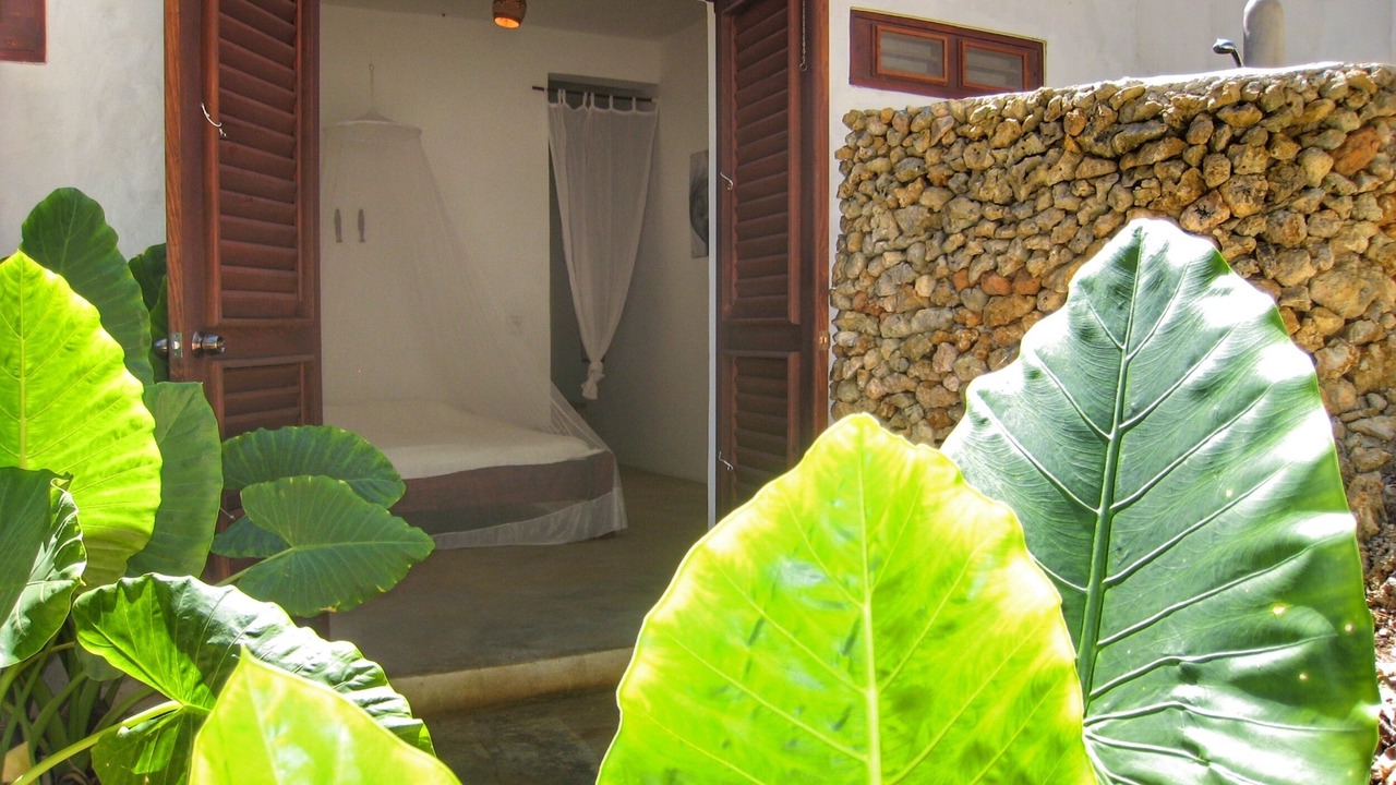 Photo of Outdoor in Las Galeras