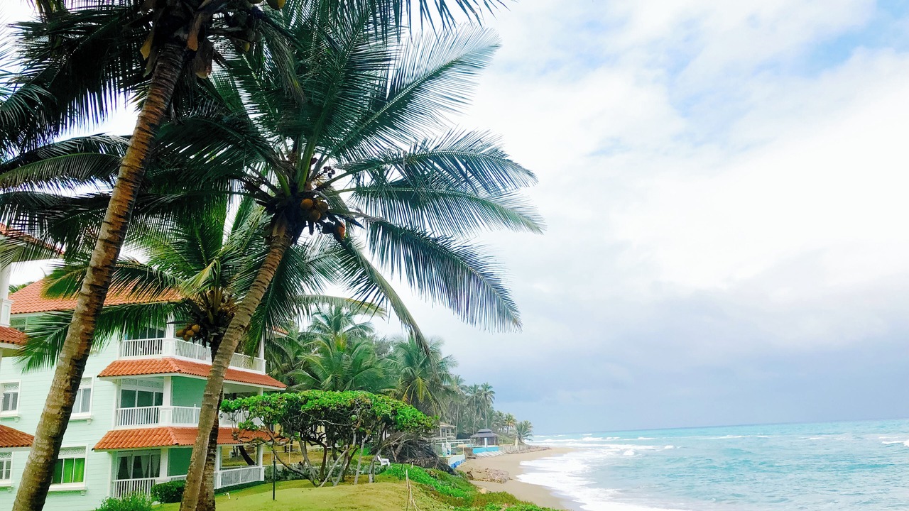 Photo of Others in Cabarete