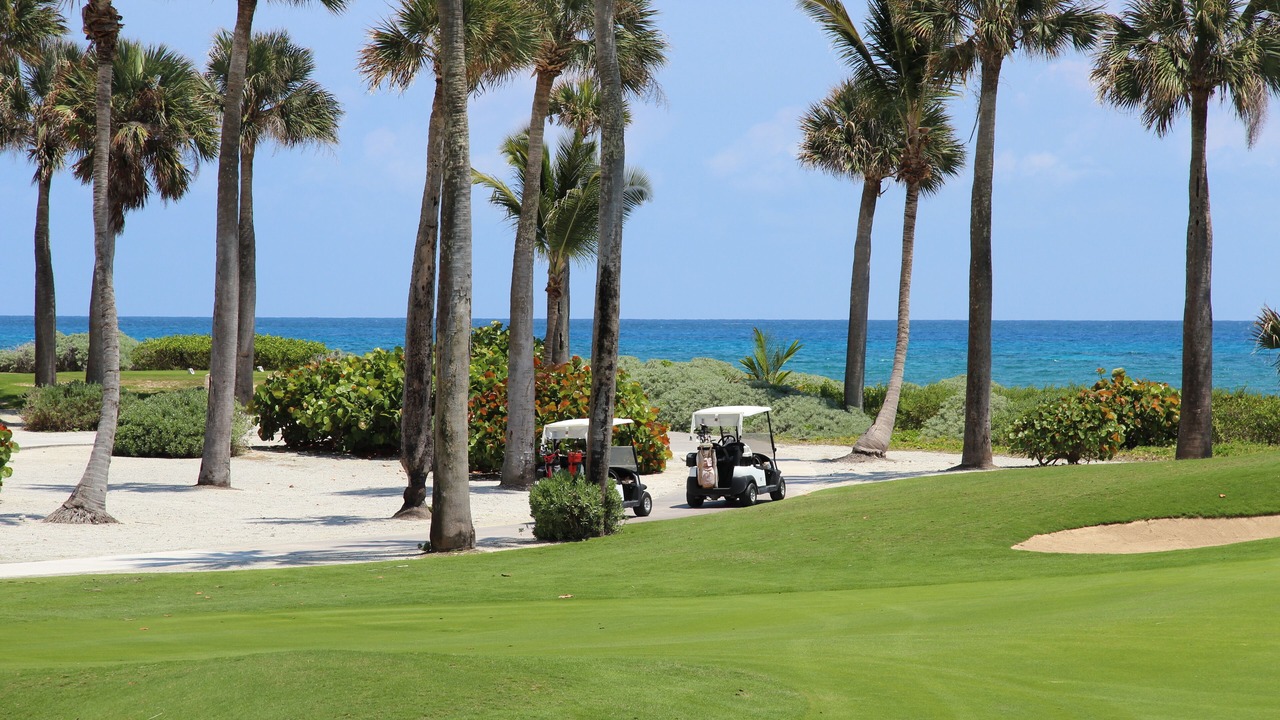 Photo of Others in Punta Cana