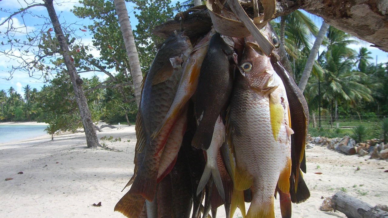 Photo of Others in Las Terrenas