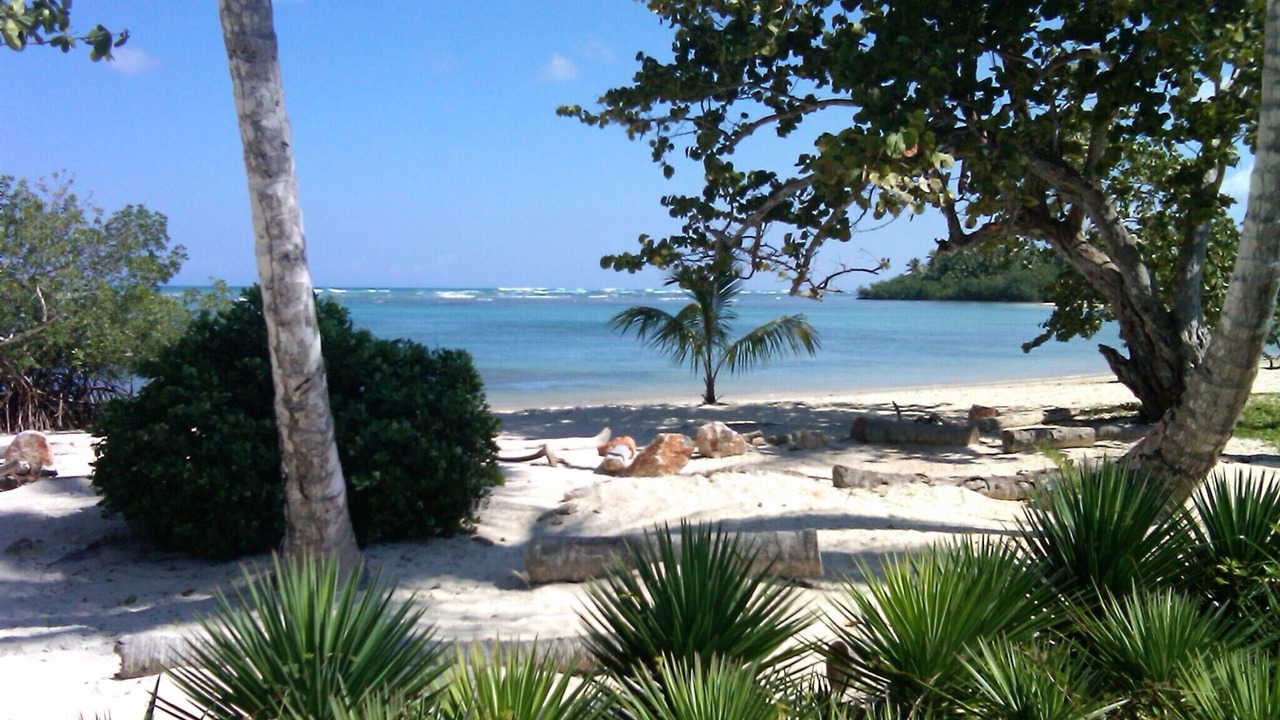 Photo of Others in Las Terrenas