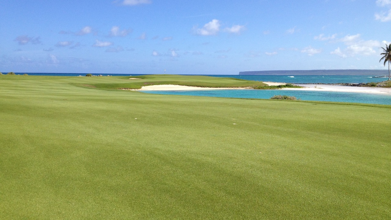 Photo of Others in Punta Cana